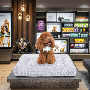 Oreiller de soutien orthopédique pour grands chiens - Lit pour animaux de compagnie amovible et lavable avec coussin thérapeutique - Product Image 2