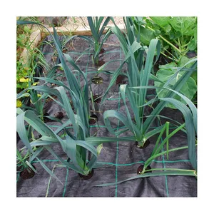 weed control matcontrol high quality plastic ground cover/weed control fabric plastic mulch landscaping fabric weed mat