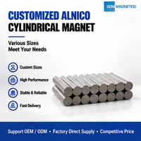 Factory Direct High Quality Custom Rod Alnico Guitar Pickup Magnets Stable Performance Musical Magnet for Electric Guitar Parts