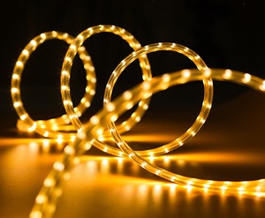 Bán buôn không thấm nước 12V 24V 110V 220V SMD2835 5050 50m mỗi mét CuộN 120 LED mỗi mét đa màu linh hoạt dây LED Neon ST - Product Image 3