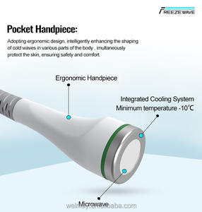 Nieuwste Ontwerp Cryo Apparaat Ijskoeling Bevriezen Professionele Cavitatie En Radiofrequentie Cavitatie Magnetron Cryotherapie Machine - Product Image 3