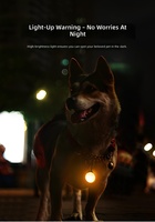 Lampu Liontin LED Silikon untuk Kalung Anjing Tahan Air 3 Mode |   Anti-Hilang untuk Jalan-Jalan Malam di Luar Ruangan |   Ramah Lingkungan Dapat Disesuaikan