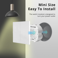 Interruptor Inteligente Zemismart con Protocolo Matter, Enchufe de 2 Vías con Control Dual, Dispositivo de Internet de las Cosas, Control por Voz Homepop