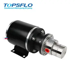 24v Magnetic Drive Micro Gear Pump DC Gear Pump