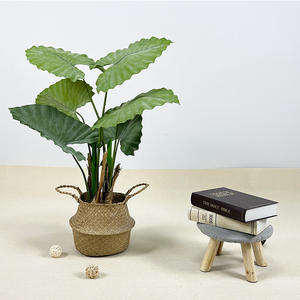 Guanyin-árboles artificiales de goteo, plantas de arcoíris artificiales de Alocasia, Macrorrhiza - Product Image 2