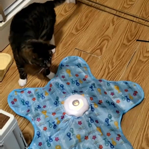<b>Interactive</b> <b>Cat</b> <b>Toy</b>, Automatic Moving Feather <b>Cat</b> <b>Toy</b> for Indoor <b>Cats</b>, Star-Shaped Electronic <b>Cat</b> Mat, Self-Play Kitten <b>Toy</b> for - Product Image 2