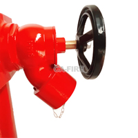 Ca-Fire Bride Dn100 Prix de la vanne de bouche d'incendie en fonte avec vanne d'atterrissage en laiton