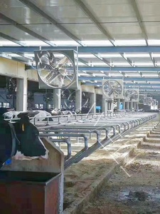 Ventilateur d'extraction mural industriel pour le refroidissement, ventilateur d'extraction de toit, ventilateur d'extraction de parking pour les fermes d'élevage - Product Image 5