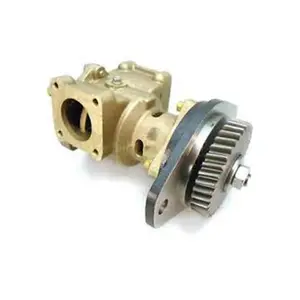 In Stock Original sea water pump 5265998