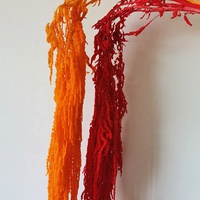 Amaranth naturel préservé en gros pour arrangements floraux