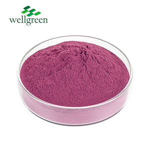 Yabanmersini suyu tozu suda çözünürlük yabanmersini meyve özü meyve lezzet yabanmersini tozu - Product Image 2