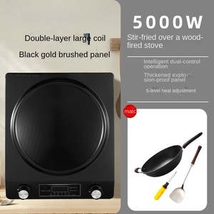 Table de cuisson à induction double brûleur CE CB de haute qualité 500W portable avec surface en fonte 24 cm, classe d'efficacité énergétique, pour usage hôtelier - Product Image 3