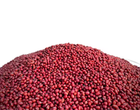 Haricots rouges séchés de qualité Hanjiang, vente en gros, haricots riches en nutriments au meilleur prix