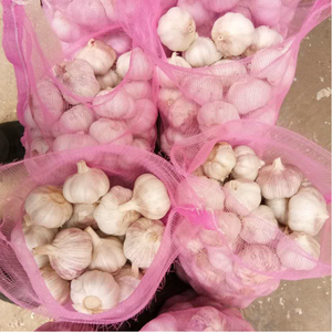 กระเทียมขาวใหม่ นิวฮาร์เวสท์ ไอล์ บลัง ฟรีส บรรจุถุงตาข่าย 10 กก. ขนาด 5.0 ซม. - Product Image 3