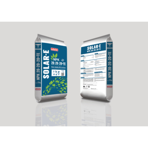 Arroz APC Eco VBO ST25 40 Lbs, Arroz Vietnamita Premium Aromático para Cocinar y Exportar - Product Image 6