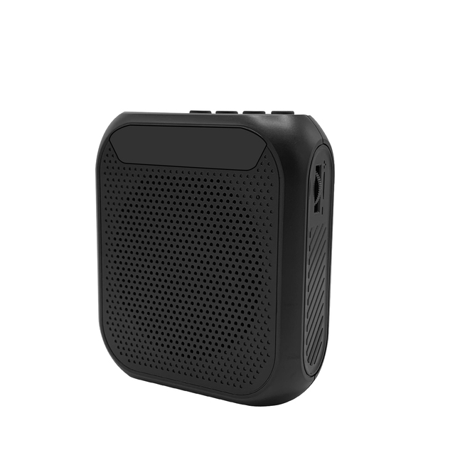 Factory New Products Small Microphone Sounds Amplifier MAV with USB TF Card Memory Function FM Radio Portable Bluetooth Sp