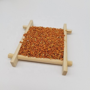 Hete Verkopende Kleefgraan Gierst In Schil Van Hoge Kwaliteit Met Goedkope Groothandelsprijs - Product Image 5