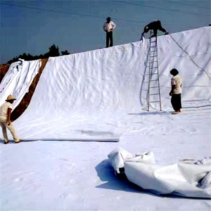 400gsm Pp <span class=keywords><strong>Géotextile</strong></span> <span class=keywords><strong>600g</strong></span> <span class=keywords><strong>M2</strong></span> <span class=keywords><strong>Géotextile</strong></span> Pp <span class=keywords><strong>Géotextile</strong></span> 800g \ <span class=keywords><strong>m2</strong></span> Fibre discontinue Pp - Product Image 4