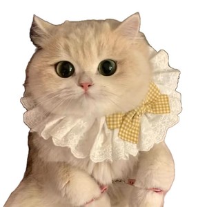 Collier pour chat et chien en soie, style princesse, avec ruban, dentelle, clochette et nœud <span class=keywords><strong>papillon</strong></span>, pour <span class=keywords><strong>chaton</strong></span>, accessoires de mariage, nouveau - Product Image 3