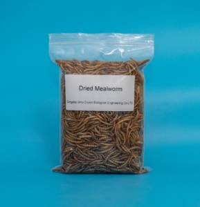 All'ingrosso aggiungere cibo per cani ad alto contenuto proteico e sgrassato in polvere snack per cani per trattare con cani - Product Image 4