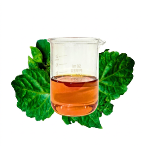 Huile Essentielle de Patchouli Indonésien Premium APEX 28 de Haute Qualité, Parfum Sucré, Herbacé et Boisé, issue de la Plante Pogostemon Cablin - Product Image 1