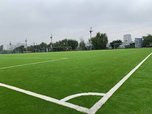 REE-Hierba de 50mm para pista de fútbol, césped sintético, barato - Product Image 3