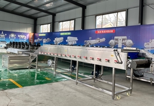 Hoge Output Multifunctionele Sus304 Gember Kurkuma Reinigingswasmachine Voor Plantaardige Verwerking Fabriek Voor Voedselverwerking - Product Image 5