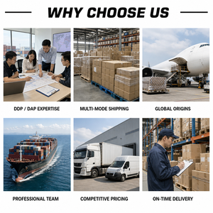 Agente <span class=keywords><strong>di</strong></span> Spedizioni Marittime LCL dalla Cina a Regno Unito e USA, DDP FBA, Agente Logistico per Trasporto Marittimo in Francia e Italia - Product Image 5