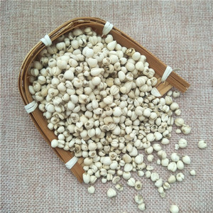 Hierba China Chuan Bei <span class=keywords><strong>Mu</strong></span>, Fritillaria Cirrhosa Seca, Bulbo de Fritillaria Cirrhosa de Alta Calidad - Product Image 3