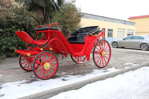 Chariot électrique à prix d'usine / Calèche de tourisme / Calèche à chevaux à vendre - Product Image 5
