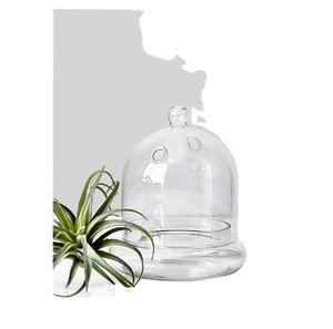 Großhandel individuelles handgeblasenes Glas kuppelform durchsichtiges dekoratives Glas <span class=keywords><strong>Terrarium</strong></span> - Product Image 2