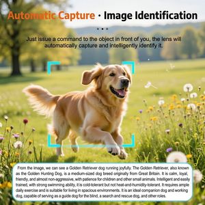 Custom Logo Smart AI Glasses Full Function AI Assistant 1080P HD Video IPX-5 Waterproof Magnetic Charging <b>Phone</b> Call Music - Product Image 5