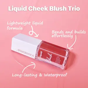 Blush líquido de marca própria 4 cores Blush de maquiagem à prova d'água de longa duração Blush líquido para bochechas