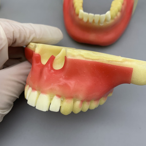 Modèle pour les étudiants à pratiquer la plantation de vis; modèle pour pratiquer avec des modèles d'os moussants - Product Image 5