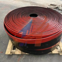 Banda Transportadora con Sistema de Sellado Lateral de Doble Labio, de Goma PU Poliuretano