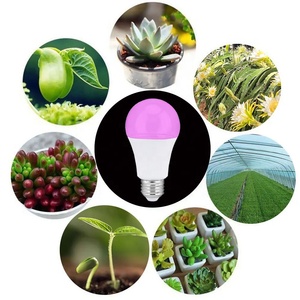 Lámpara LED para Plantas <span class=keywords><strong>de</strong></span> Espectro Completo E27 E26, Bombillas LED para Cultivo <span class=keywords><strong>de</strong></span> <span class=keywords><strong>Pitahaya</strong></span>, Vegetales <span class=keywords><strong>de</strong></span> Invernadero y Fruta del Dragón, 9W 11W - Product Image 4