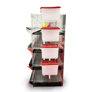 Jaulas <span class=keywords><strong>para</strong></span> <span class=keywords><strong>Pollos</strong></span> <span class=keywords><strong>de</strong></span> Engorde, Cría <span class=keywords><strong>de</strong></span> Aves <span class=keywords><strong>de</strong></span> Corral, Criadora <span class=keywords><strong>de</strong></span> Pollitos, Jaulas <span class=keywords><strong>para</strong></span> Cría <span class=keywords><strong>de</strong></span> Aves <span class=keywords><strong>de</strong></span> Corral, Jaulas <span class=keywords><strong>para</strong></span> Pollitos en <span class=keywords><strong>Venta</strong></span> - Product Image 6