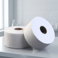 [KOSTENLOSE MUSTER] Schnelle Lieferung Biologisch Abbaubarer Spunlace-Vliesstoff für Verpackungen