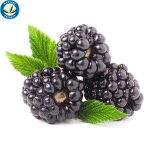 Wholesale 100 % Pure Black Berry <b>Essential</b> <b>Oil</b>: Natural Organic Fruit <b>Oil</b> for Cosmetics, Candles Uses, Factory Bulk Supply - Product Image 2