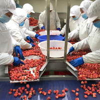 Achetez en gros des fruits surgelés Offres de fraises surgelées de qualité supérieure avec des offres de fraises surgelées concurrentielles
