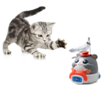 Smart Cat Pet Toys Intelligentes Spielzeug Cat Teaser Wiederauf lad bares Haustiers pielzeug Smart Robotic LED Light With Charge