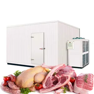 Customized Cold Room Storage Prefabricated Freezer Room for chicken Food Shop and Farms