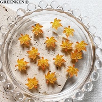 50Pcs Sac Imprimé Feuille D'érable Conception Nail Décoration Rouge et Jaune Lumineux Lueur Résine Salon En Vrac DIY Nail Art Charmes