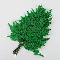 Vente chaude Conservé Feuille De Fougère Alpine Fougère Feuille Bouquet pour Vase Arrangement Décoration Compagnon Feuillage et Décor De Vacances