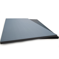 Tapis de judo professionnel MMA standard IJF pour arts martiaux