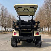 Véhicule de golf électrique tout-terrain personnalisé 3 ou 4 places avec contrôleur, batterie lithium 48V, vitesse maximale de 30 km/h et autonomie de 90 km