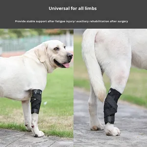 Sabuk Bantu Hewan Peliharaan Modern yang Dapat Disesuaikan, Desain Non-Retraktable dengan Strip Tulang Logam, Pelindung Tempurung Lutut Anjing Kucing, Bahan Poliester untuk Kaki Belakang - Product Image 4