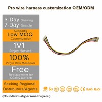 Arnés de cableado para control remoto de cabrestante eléctrico y cable de acero para aplicaciones electrónicas en automóviles y motocicletas
