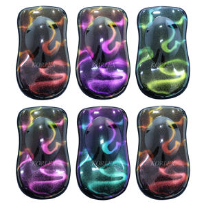 Pigment d'oeil de chat caméléon de couleur à effet magnétique néon 9D Pigment de peinture de voiture - Product Image 6