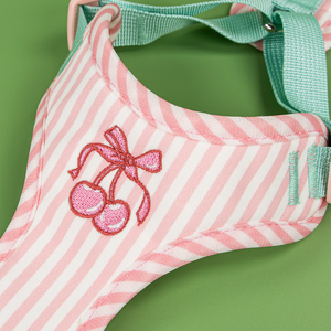 Kain lembut warna-warni dan anyaman Mesh kontrak warna bernapas Platice atau aksesoris logam untuk berjalan anjing <span class=keywords><strong>Harness</strong></span> - Product Image 5